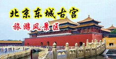 淫女丝袜大鸡吧中国北京-东城古宫旅游风景区